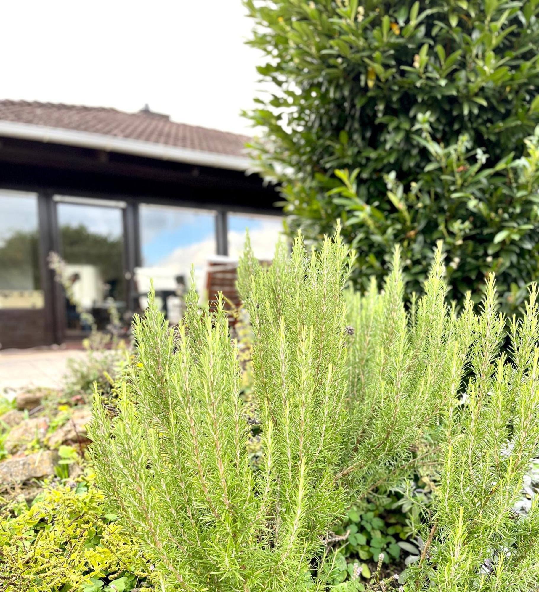 Ferienhaus Weinbergblick - Nahe Wuerzburg - 2 Schlafzimmer - Familienfreundlich - Terrasse Unterleinach Esterno foto