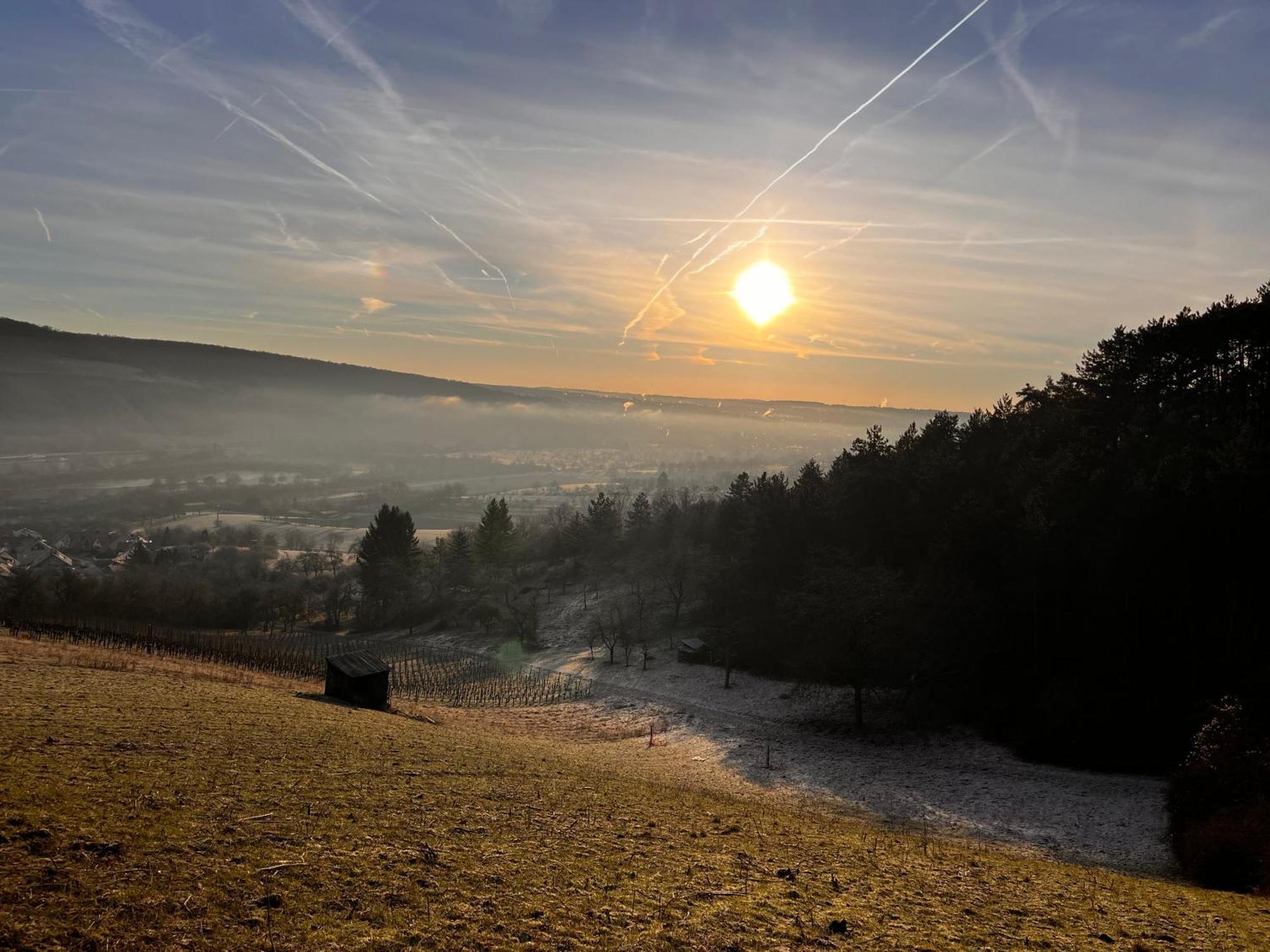 Ferienhaus Weinbergblick - Nahe Wuerzburg - 2 Schlafzimmer - Familienfreundlich - Terrasse Unterleinach Esterno foto