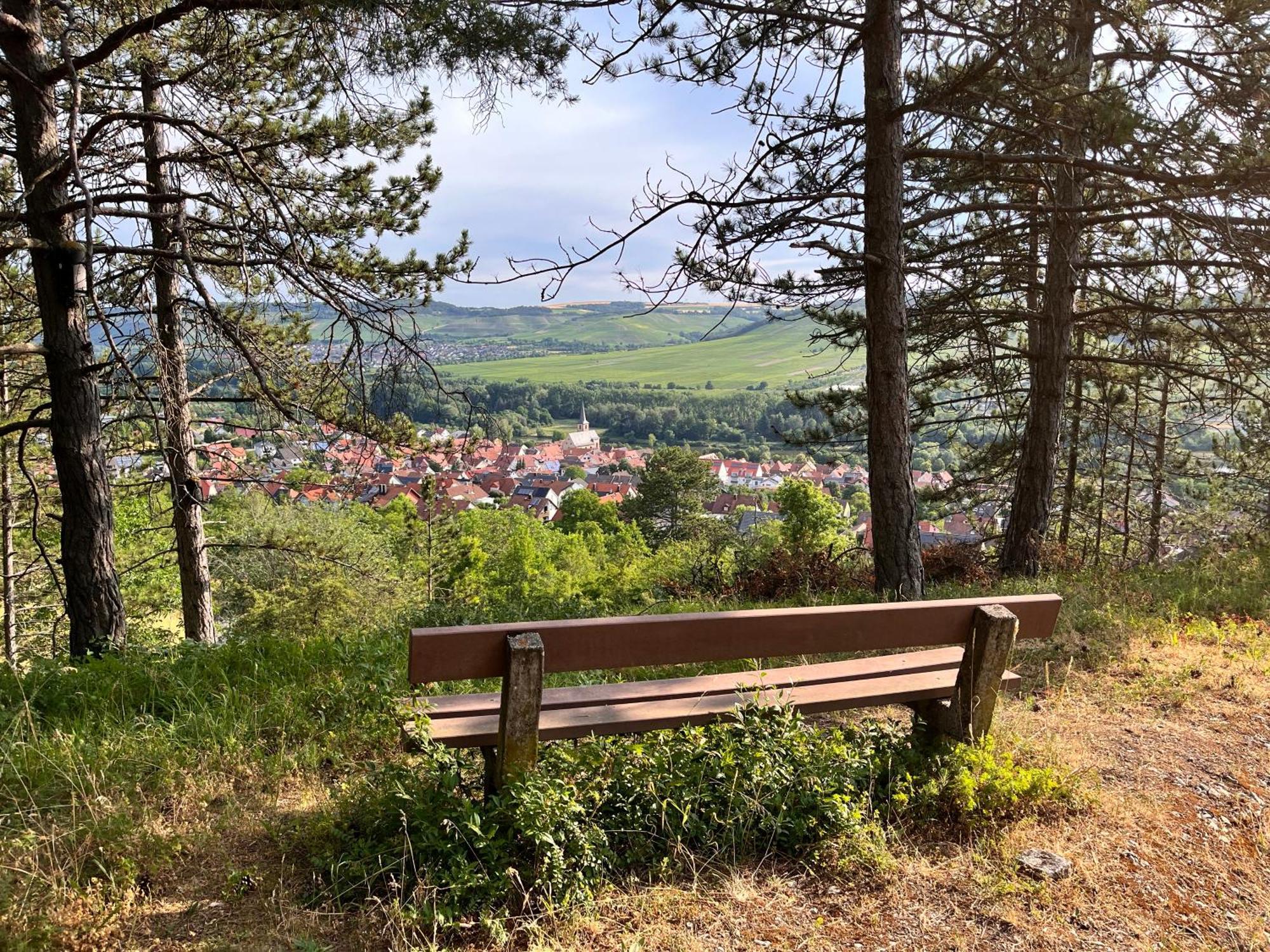 Ferienhaus Weinbergblick - Nahe Wuerzburg - 2 Schlafzimmer - Familienfreundlich - Terrasse Unterleinach Esterno foto