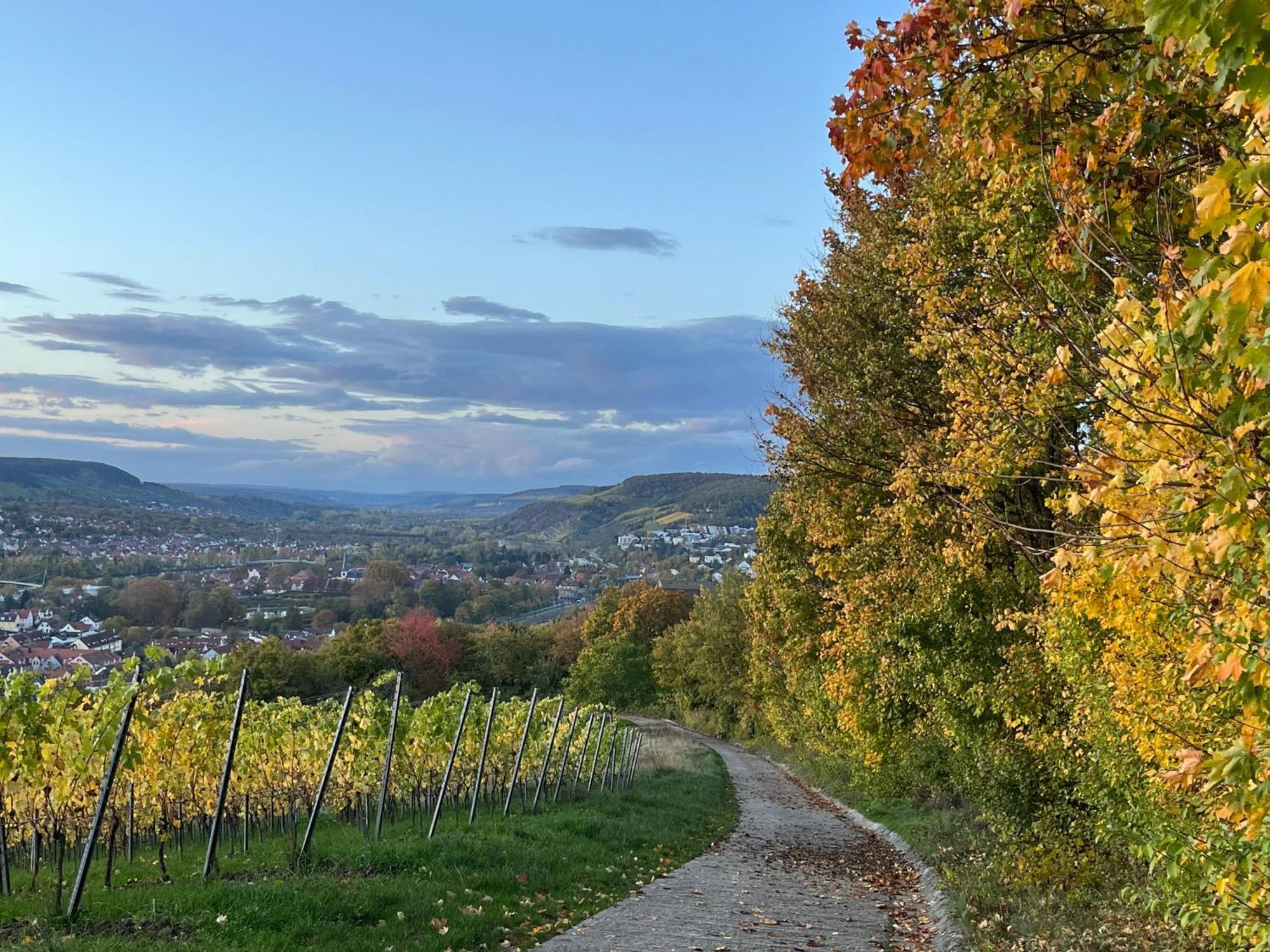 Ferienhaus Weinbergblick - Nahe Wuerzburg - 2 Schlafzimmer - Familienfreundlich - Terrasse Unterleinach Esterno foto